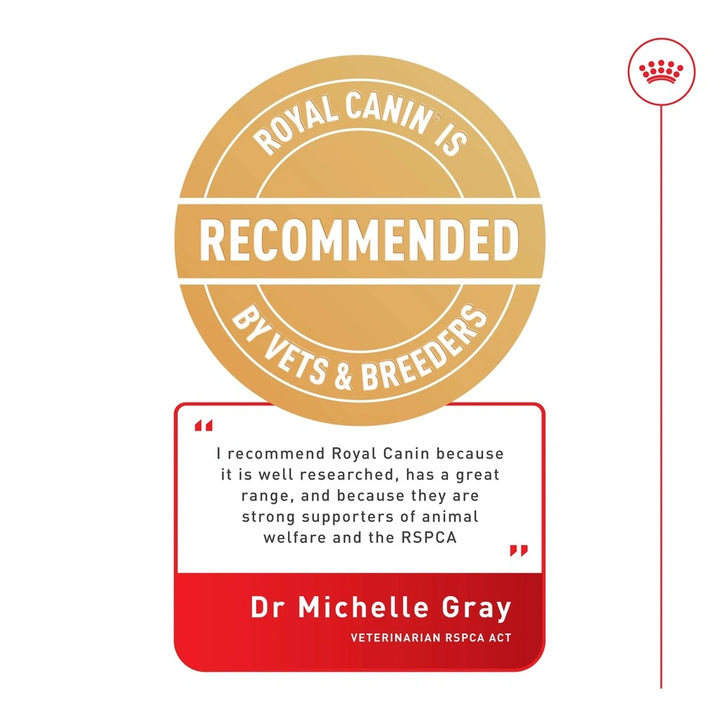 Royal Canin Maxi Adult Dry Dog Food – premium large breed dog food supporting joints, digestion, and coat health.