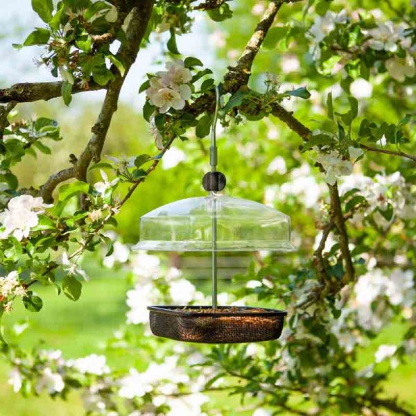 MealWorm &amp; Suet Feeder - PetWorld