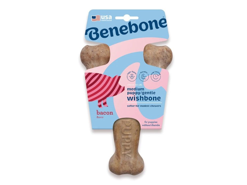 Benebone Puppy Wishbone Bacon