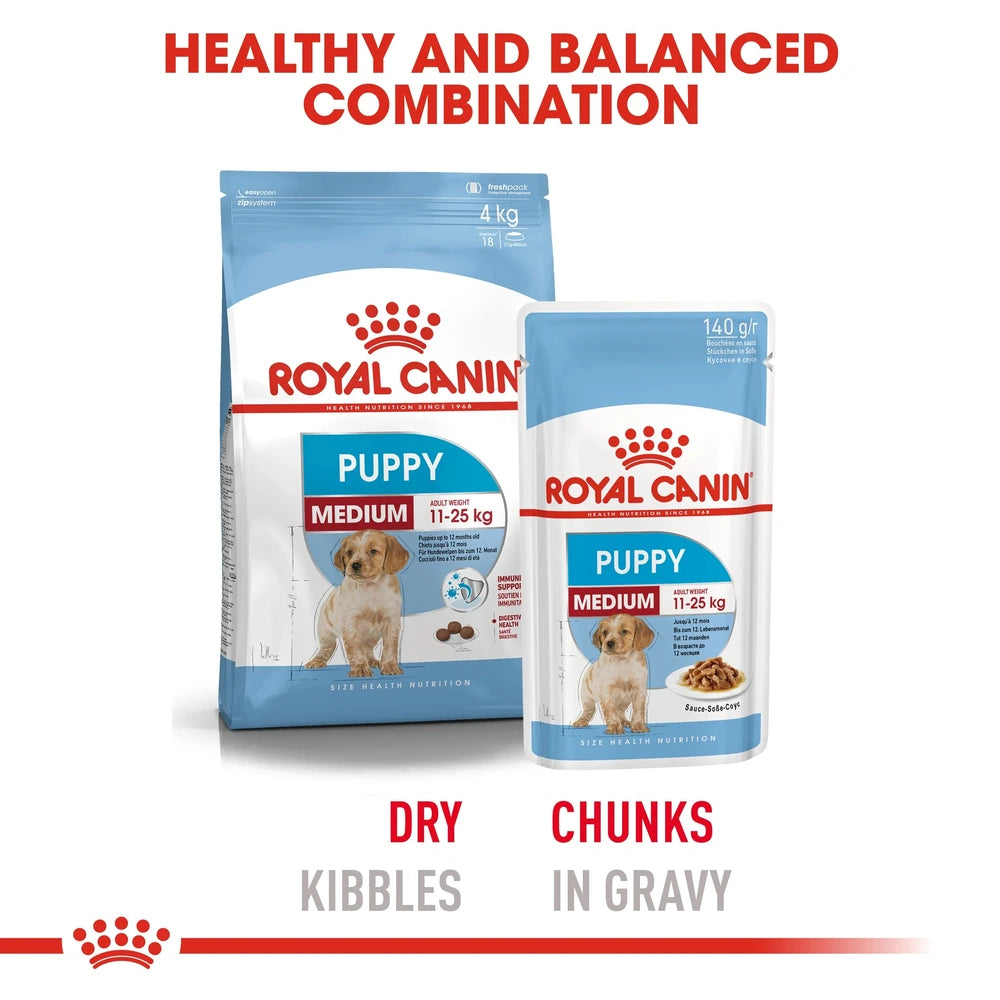 Medium-breed puppy eating high-energy kibble — immune & digestive support formula.