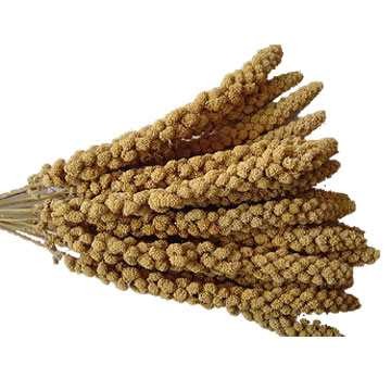 Natures Best Millet Spray Small Bundle
