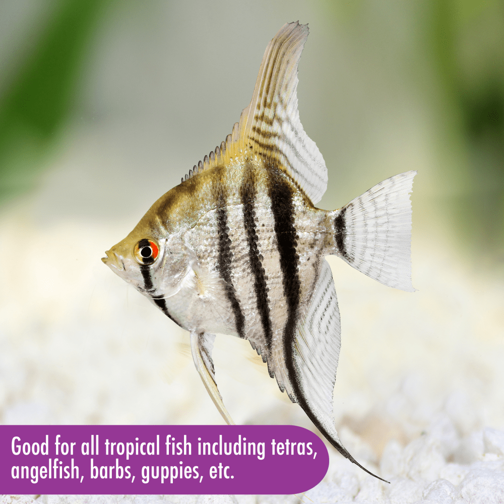 Aquarian Tropical Flake Food is good for all tropical fish including tetras, angelfish, barbs and guppies
