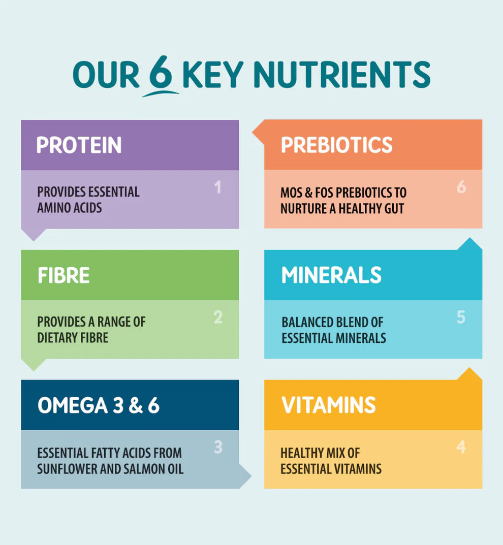 Naturo salmon cat food pouch with no artificial additives

