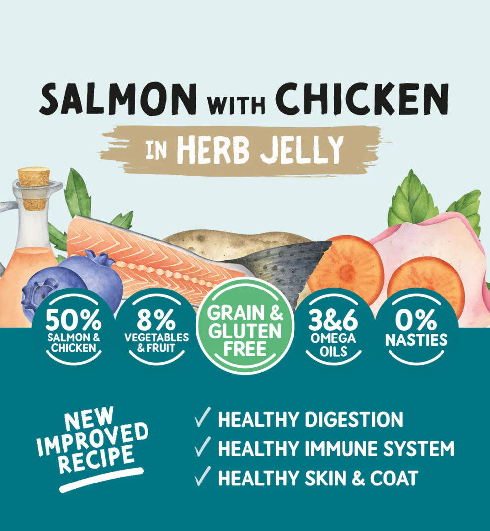 Wet dog food tin with salmon, chicken, and herb jelly

