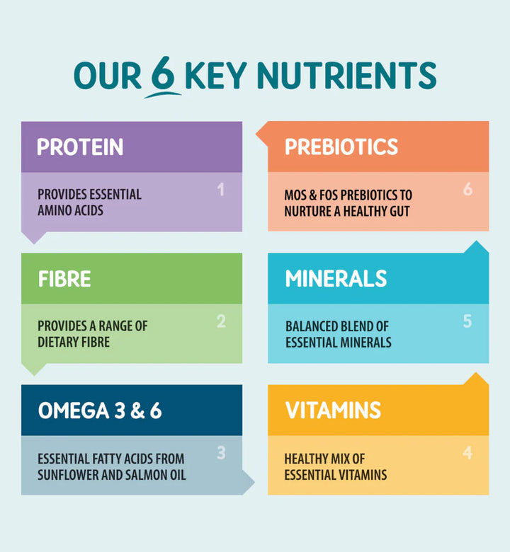 Natural turkey pâté for adult cats with taurine and Omega oils

