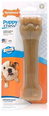 Nylabone Puppy Bone Chicken Chew Toy XL - PetWorld