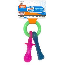 Nylabone Puppy Teething Pacifier X-Small
