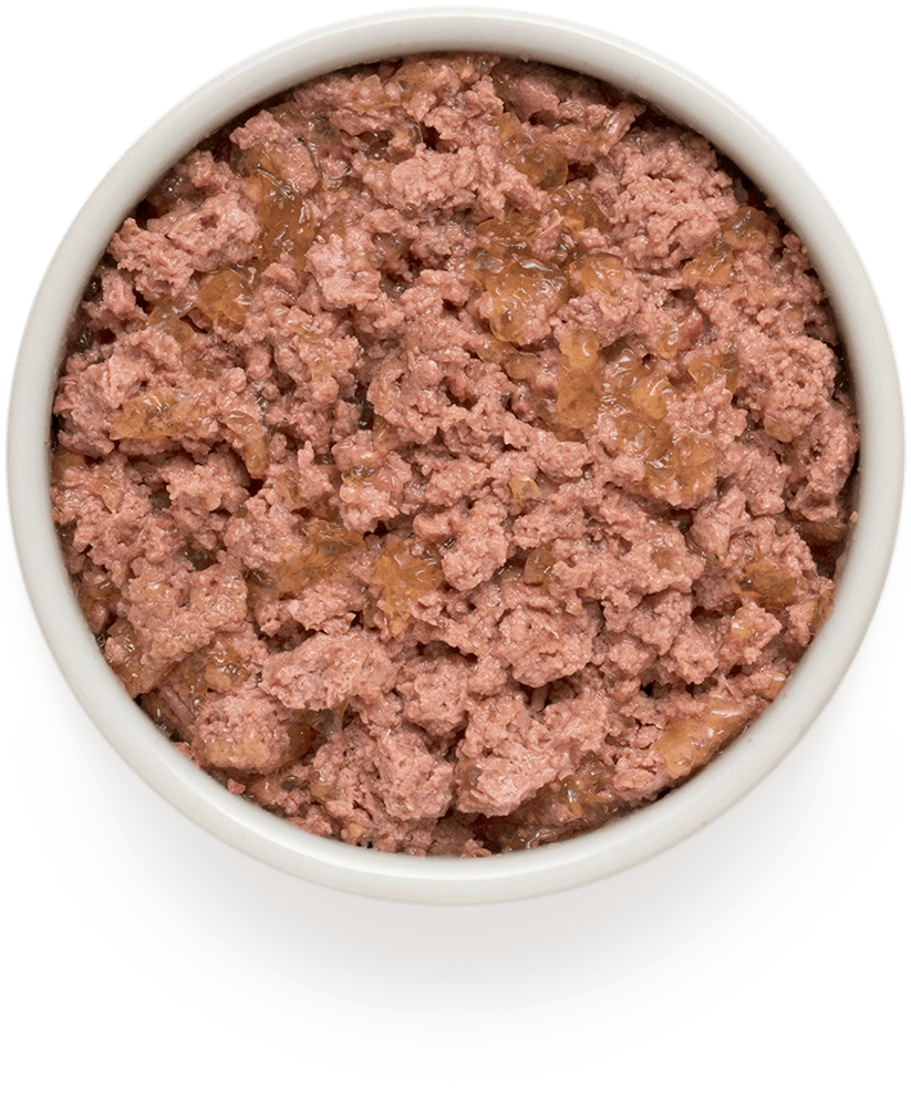 Grandorf Puppy Lamb and Turkey wet dog food served in a white bowl