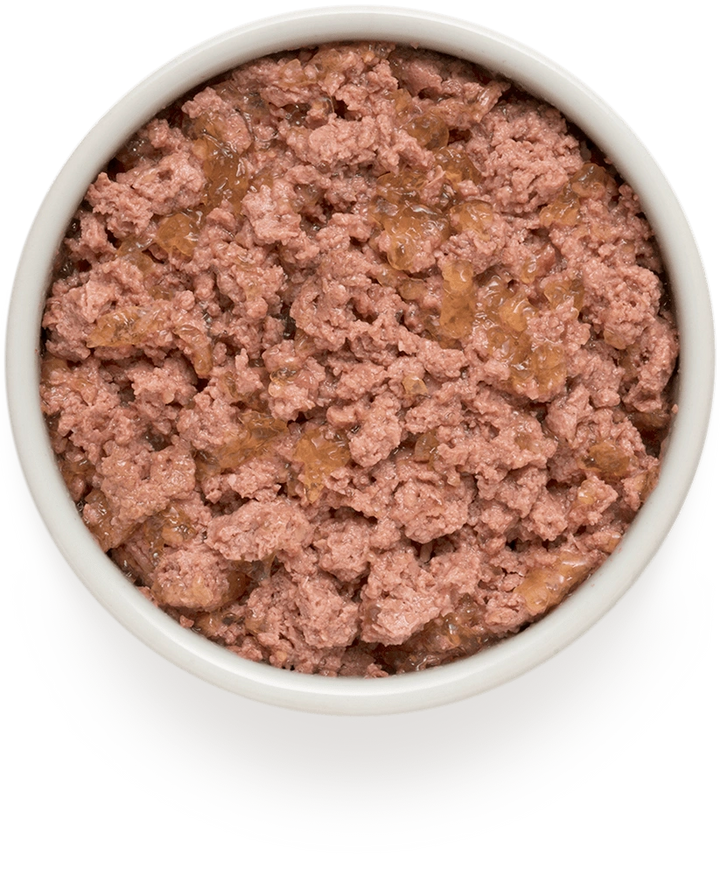 Grandorf Puppy Lamb and Turkey wet dog food served in a white bowl