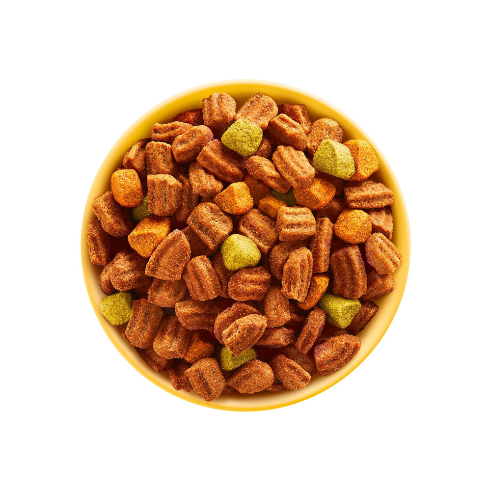 12kg dry dog food

