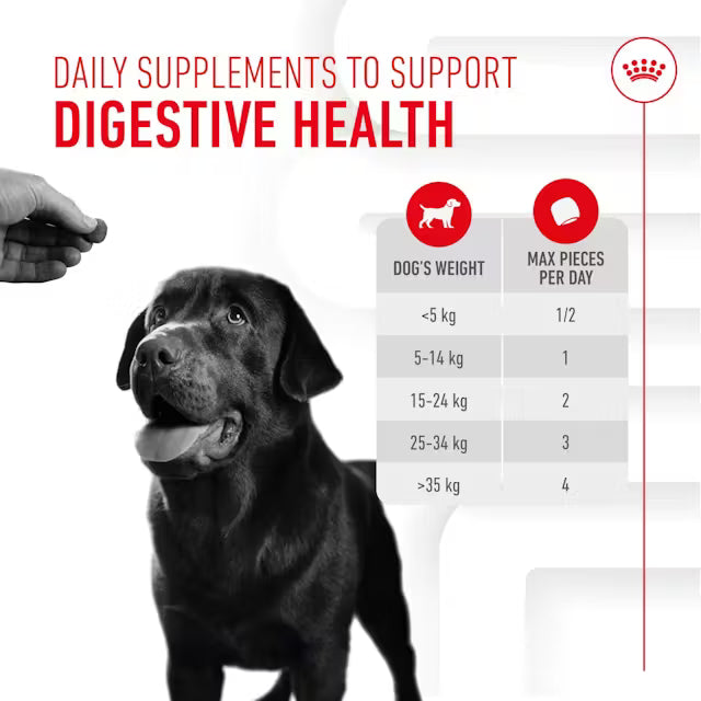 Royal Canin Digestion Chews 160g