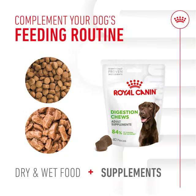 Royal Canin Digestion Chews 160g