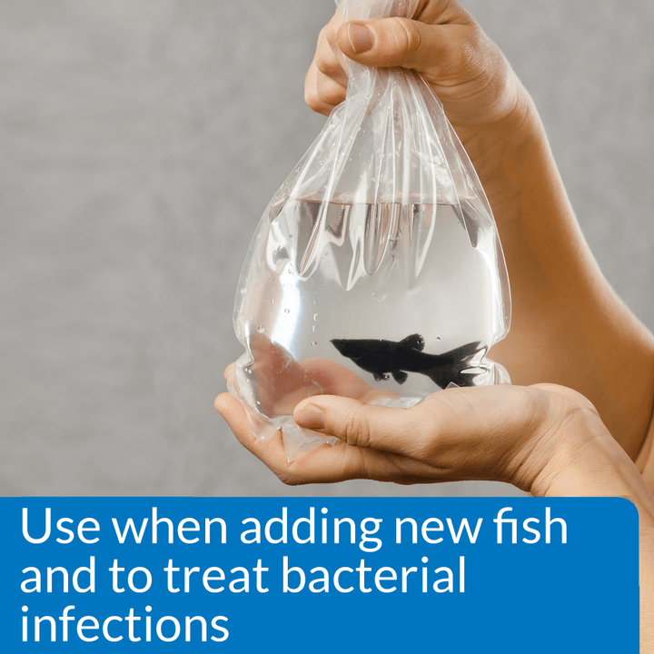 New fish in a bag: use API Melafix when adding new fish and to treat bacterial infections