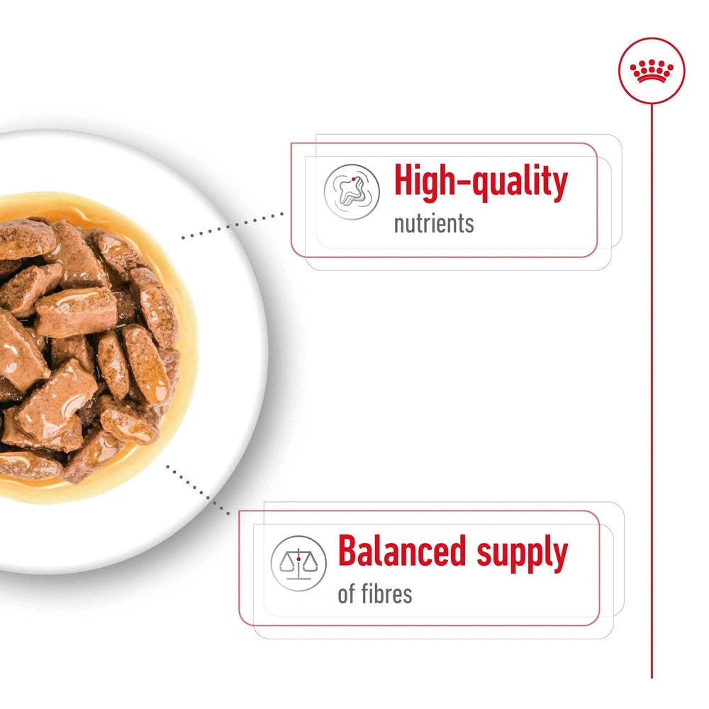 Royal Canin Maxi Adult Dry Dog Food – premium large breed dog food supporting joints, digestion, and coat health.