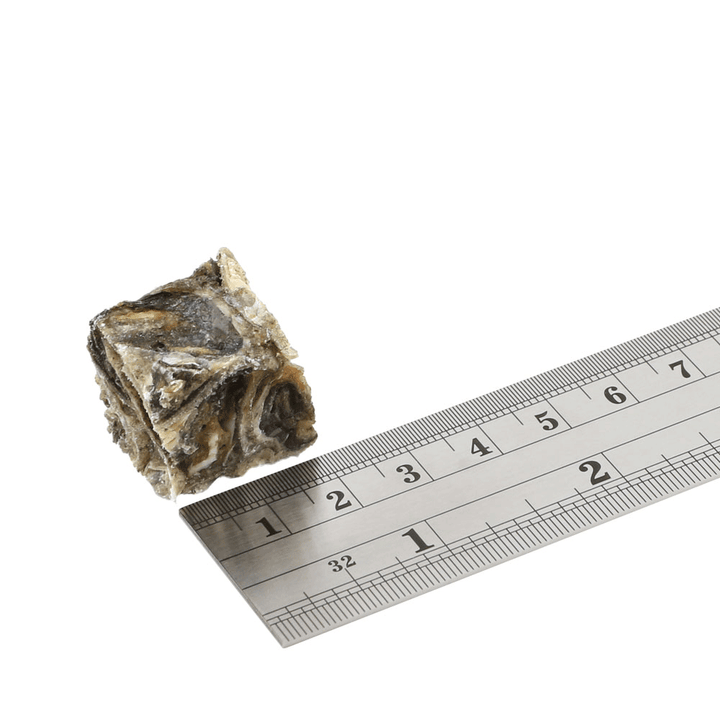 Fish4Dogs Sea Jerky Fish Tiddler cube next to a ruler, showing its size of about 2cm
