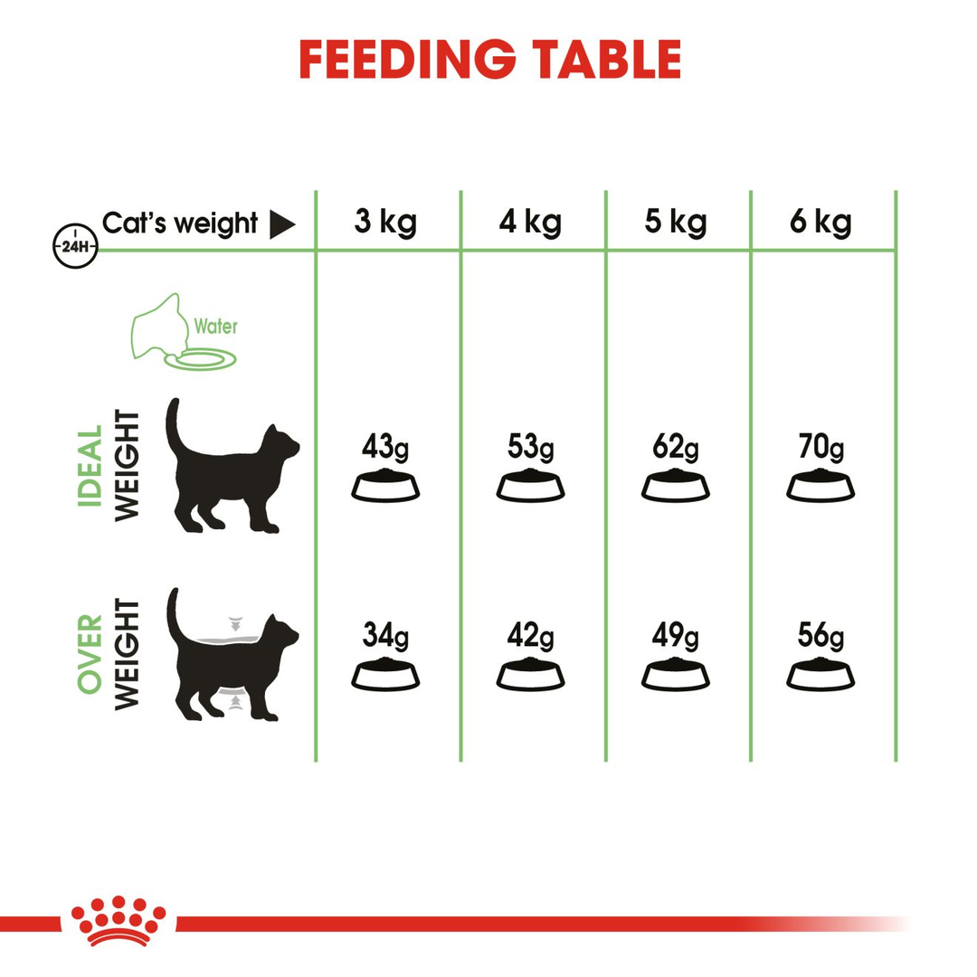 Royal Canin Digestive Care feeding table for cats from 3kg to 6kg, ideal weight and overweight