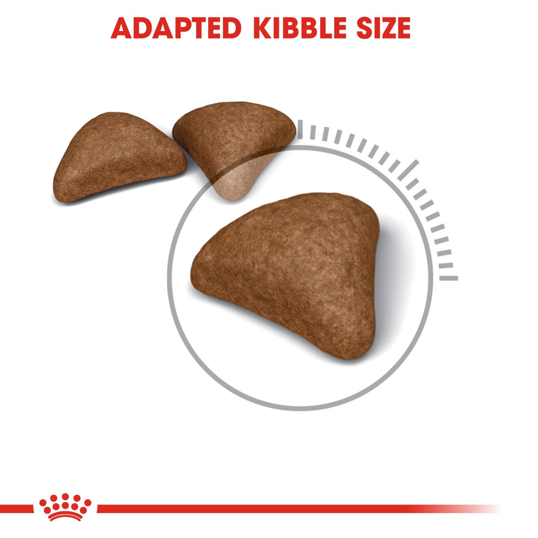 Royal Canin Hairball Care adapted kibble size and shape