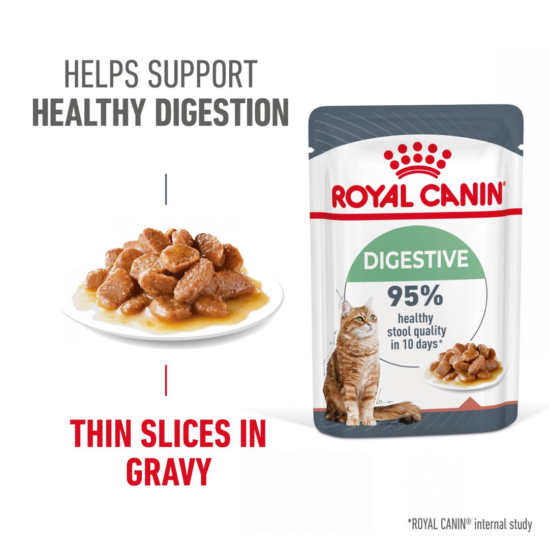 Royal Canin Digestive Care pouch with thin slices in gravy texture