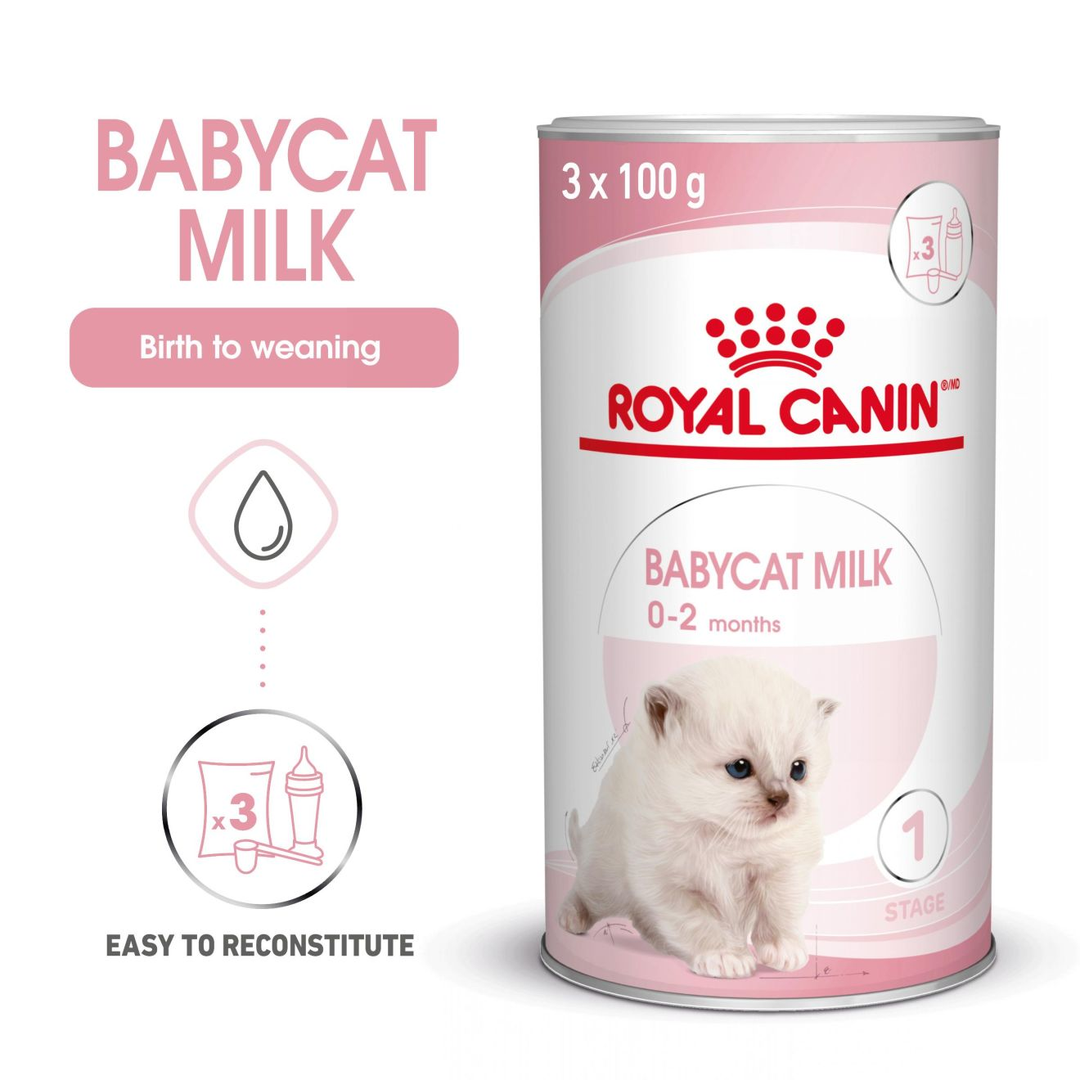 Royal Canin Babycat Milk 3 x 100g, birth to weaning, easy to reconstitute