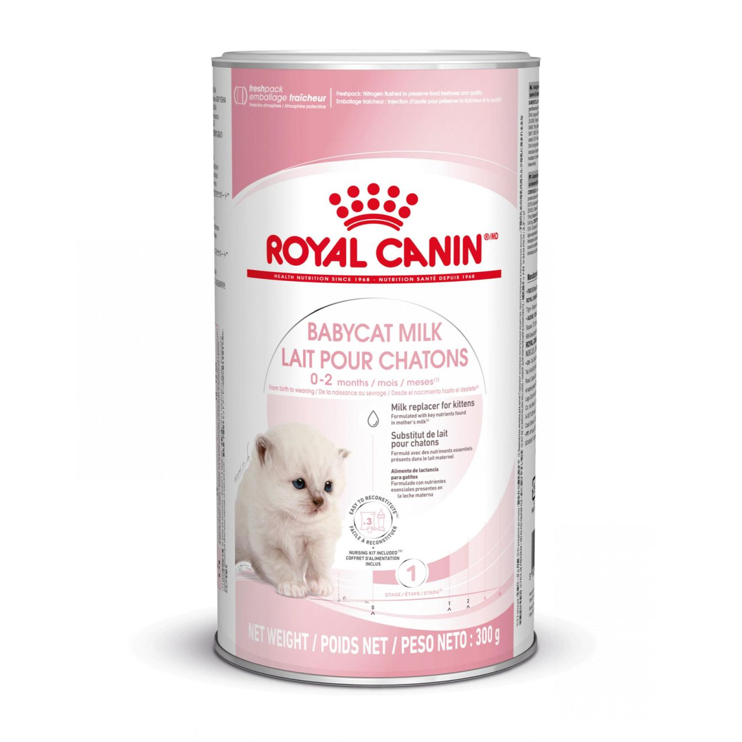 Royal Canin Babycat Milk 300g kitten milk replacer tin, new design front