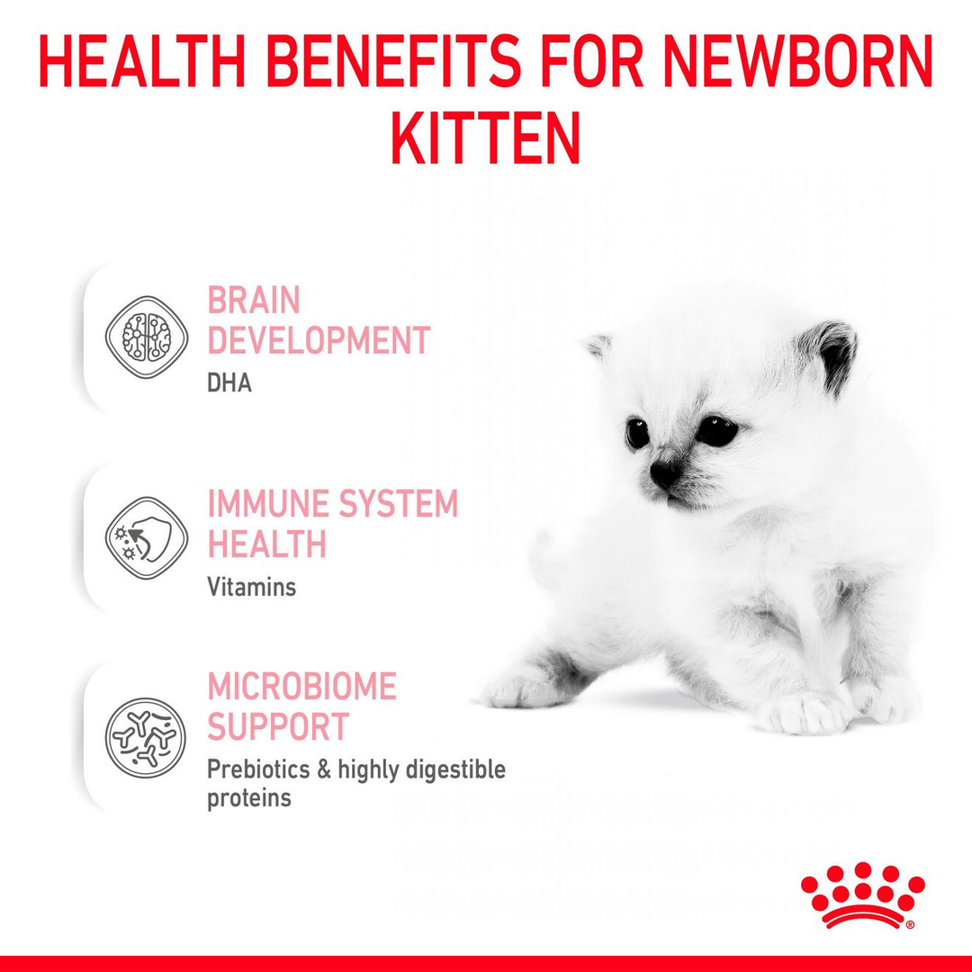 Royal Canin Babycat Milk health benefits: brain development, immune system health, microbiome support