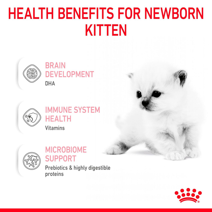 Royal Canin Babycat Milk health benefits: brain development, immune system health, microbiome support