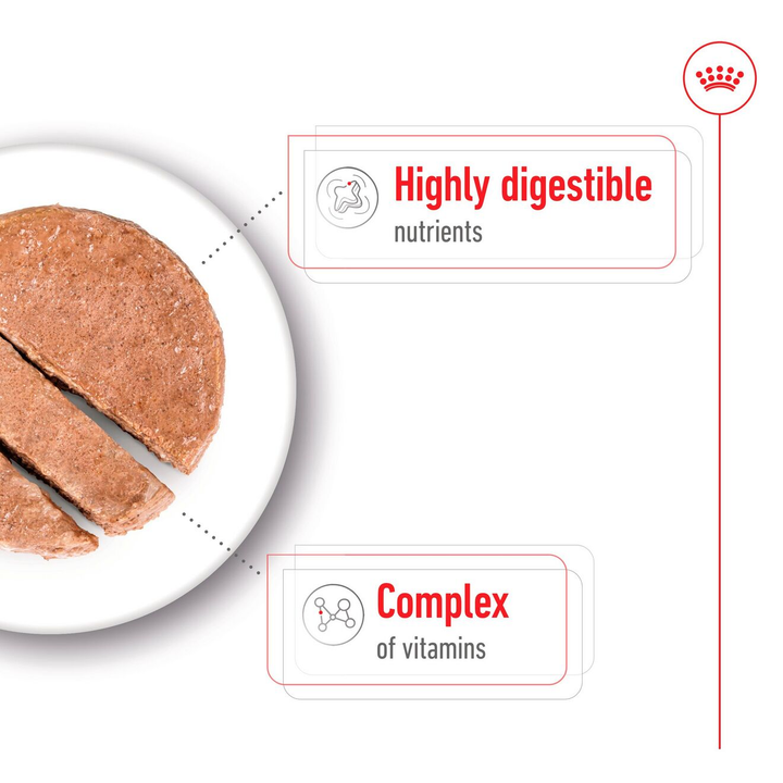 Royal Canin Mini Adult Loaf with highly digestible nutrients and a complex of vitamins