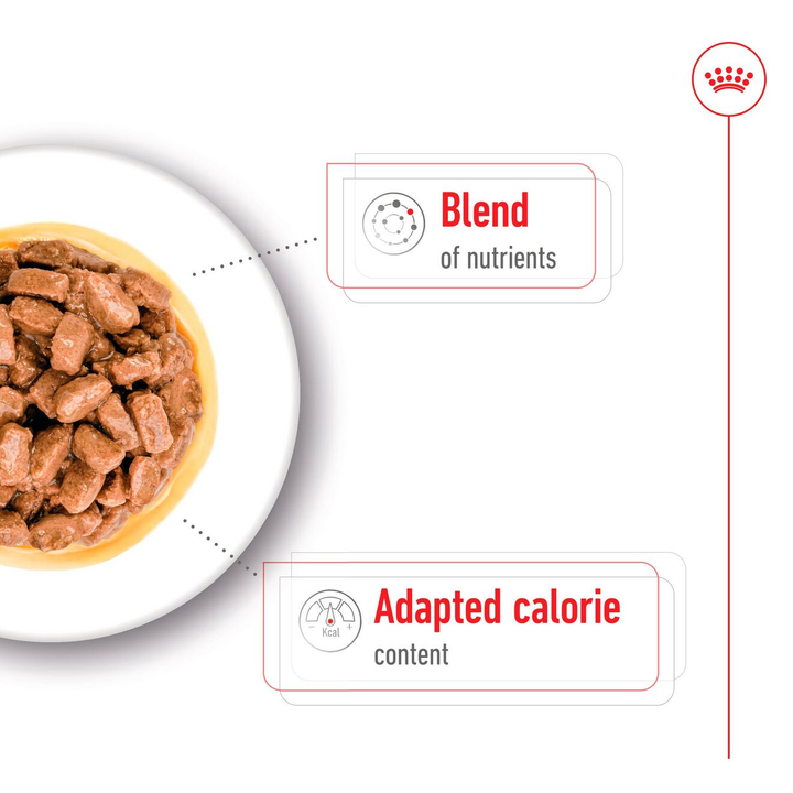 Royal Canin Mini Ageing chunks in gravy with a blend of nutrients and adapted calorie content