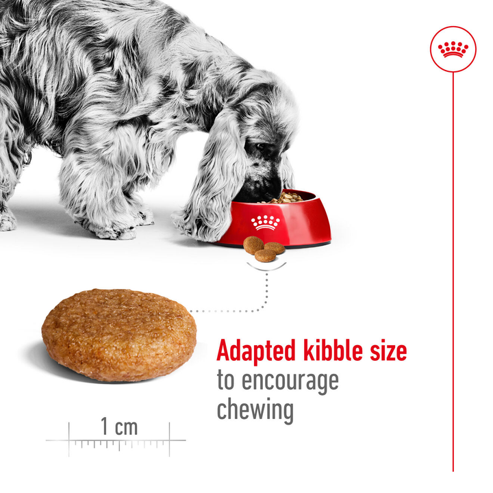 Royal Canin Medium Adult adapted kibble size to encourage chewing
