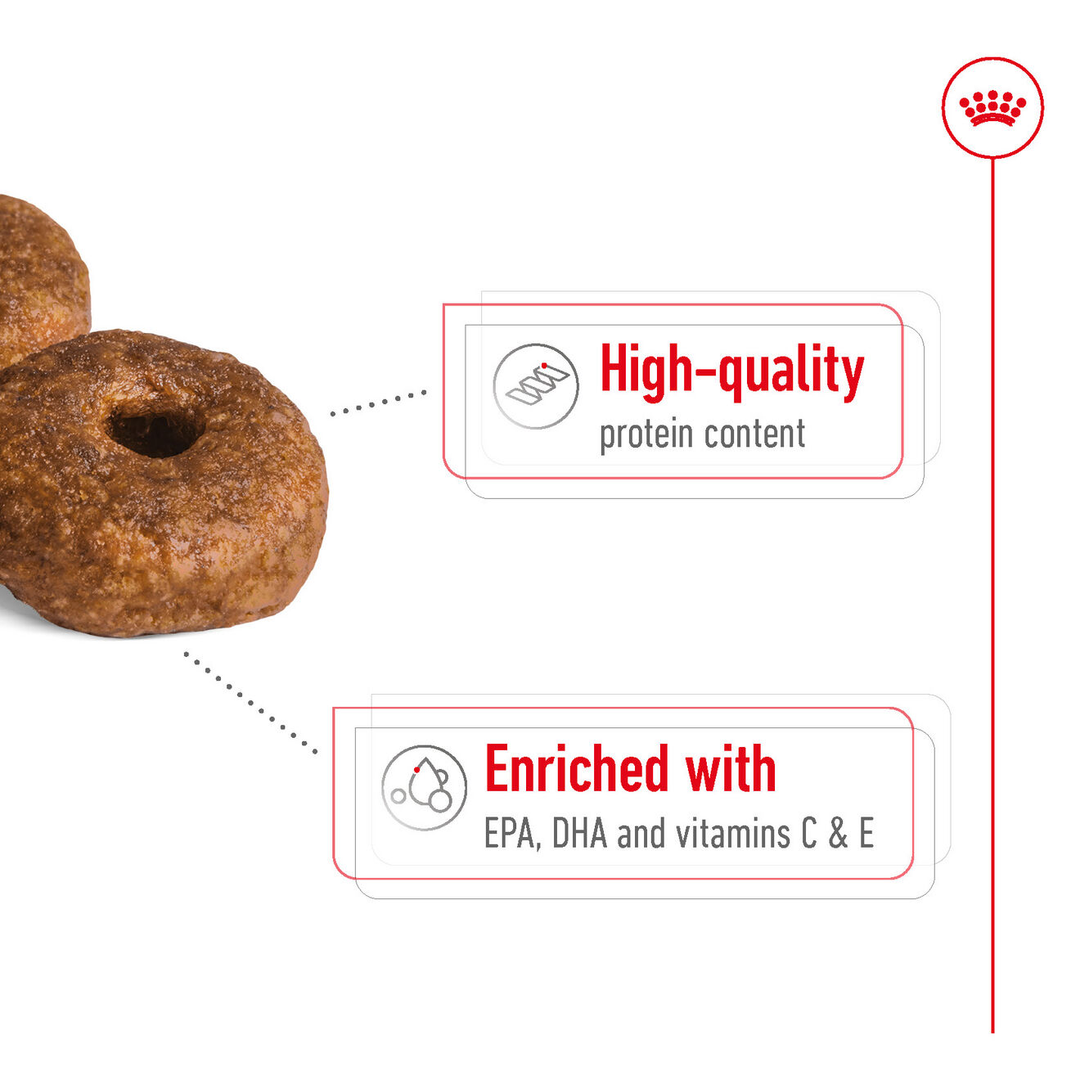 Royal Canin Medium Ageing 10+ kibble: high quality protein, enriched with EPA, DHA and vitamins C and E