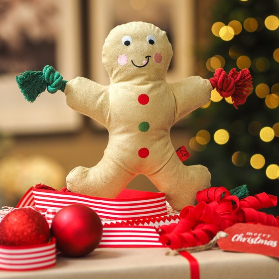 TuffEarth Recycled Gingerbread Playpal - PetWorld