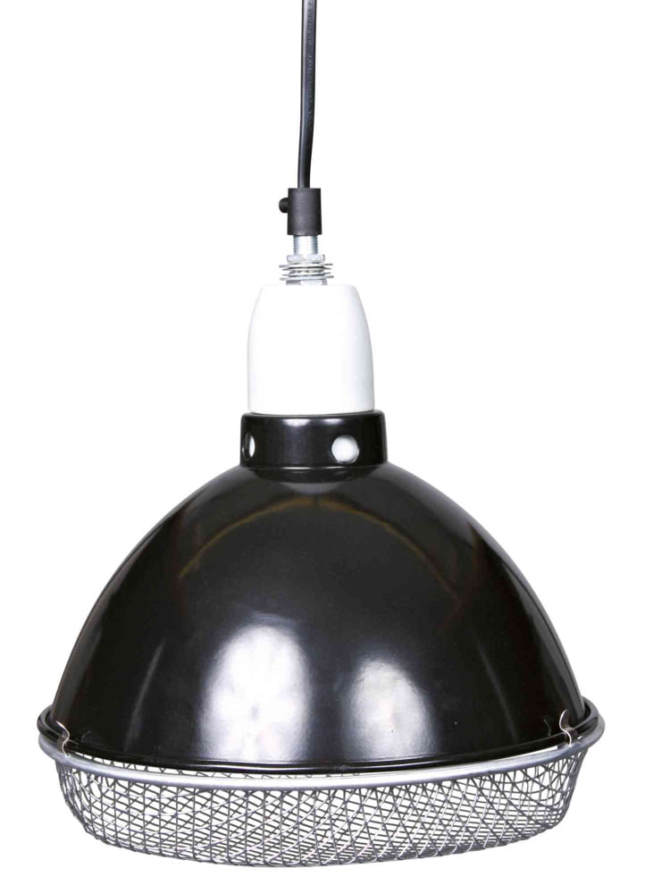 Reflector Clamp Lamp With Safety Guard - PetWorld