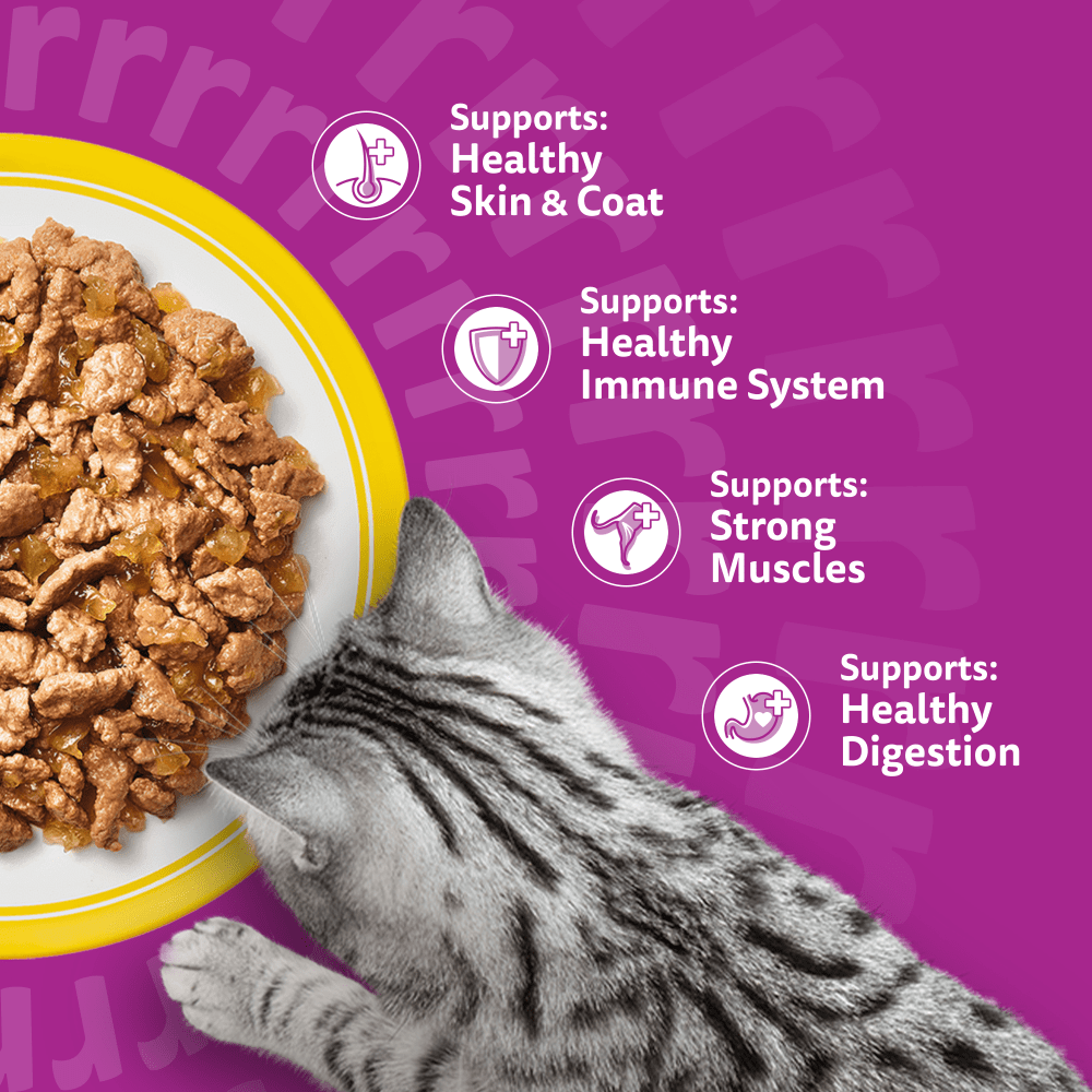 Whiskas poultry in jelly supports healthy skin and coat, immune system, strong muscles and digestion