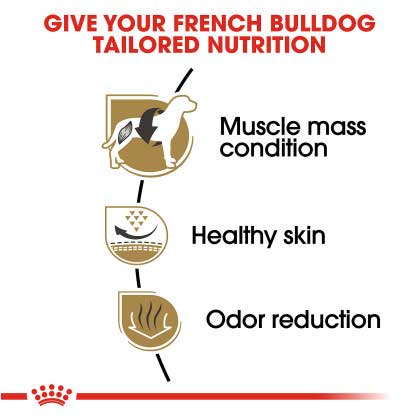 Royal Canin Adult French Bulldog - PetWorld