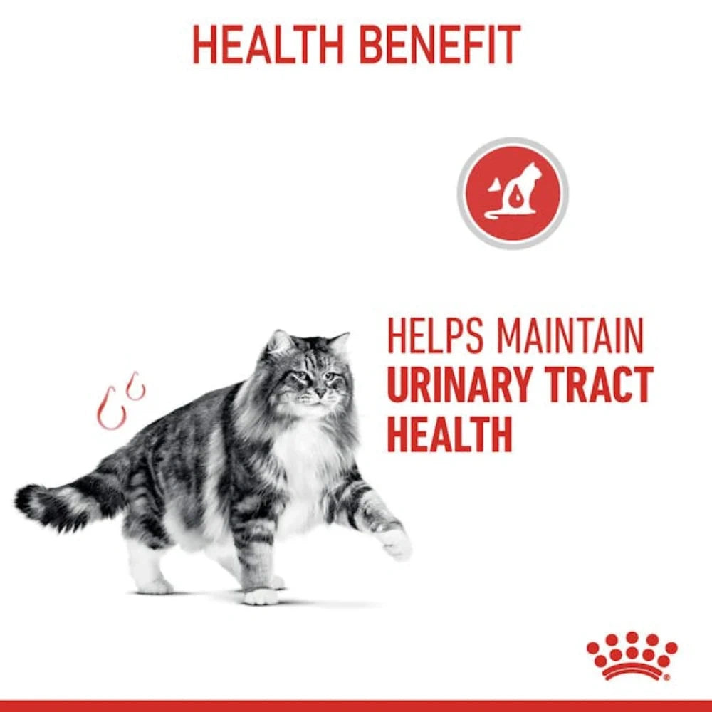 Royal Canin Adult Wet Cat Food 