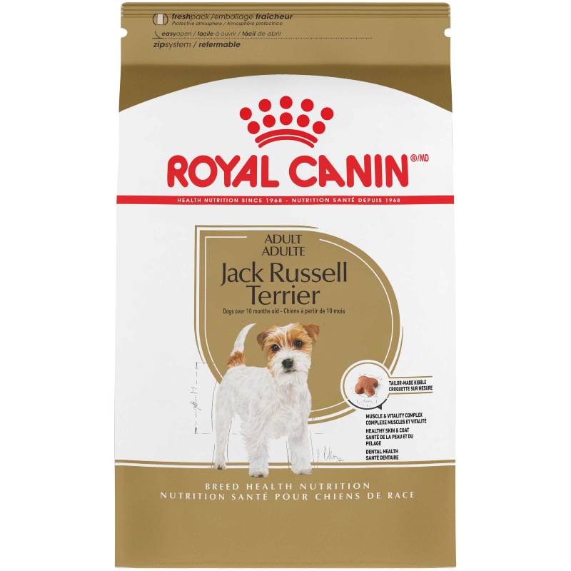 royal canin jack russell dog food (