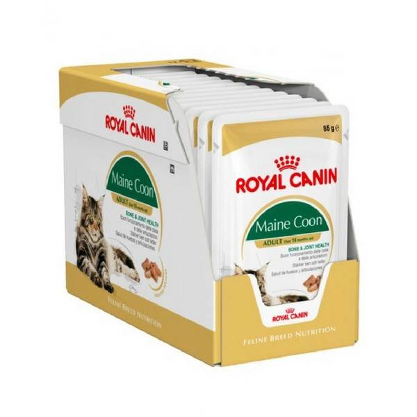 royal canin main coon adult pouches cat food