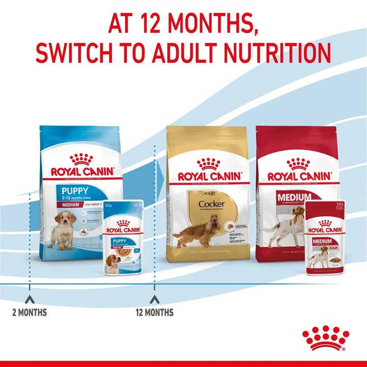 Medium-breed puppy eating high-energy kibble — immune & digestive support formula.