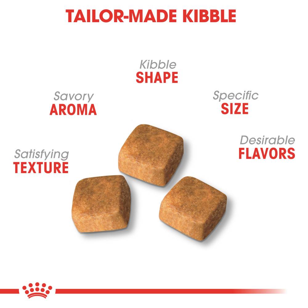 Royal Canin Persian Kitten 30 - PetWorld