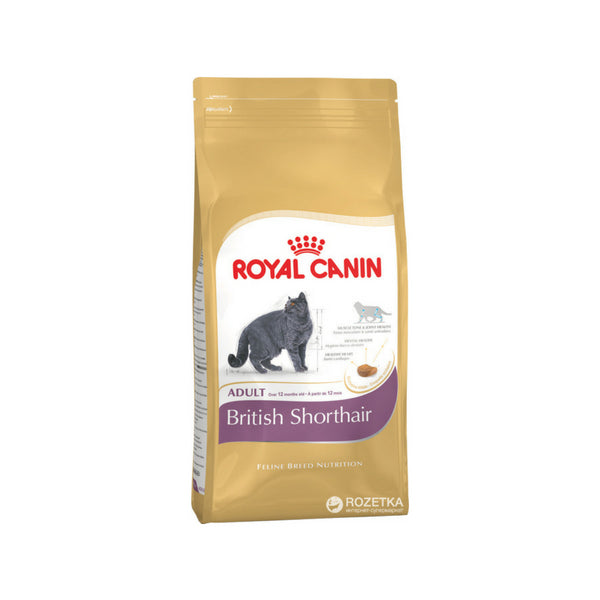 royal canin british shorthair cat food