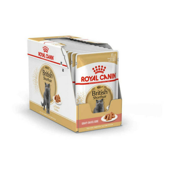 Royal Canin British Shorthair Adult in Gravy 12 x 85g pouches in display box