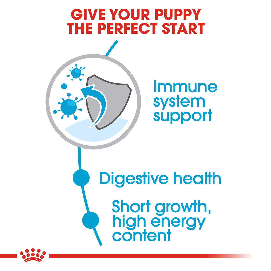 Royal Canin Medium Puppy/Junior Dog Food - PetWorld