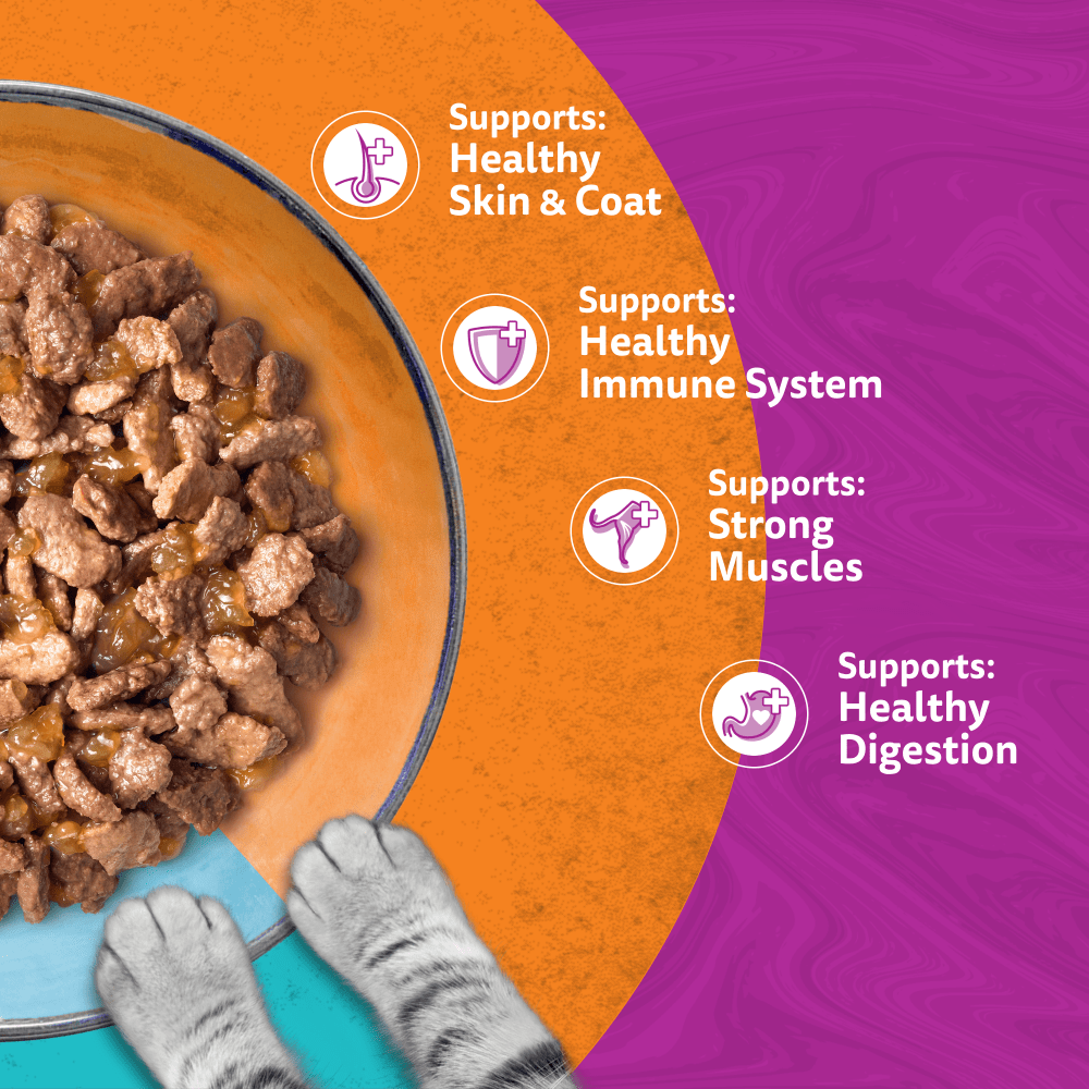Whiskas Duo supports skin and coat, immune system, muscles and digestion