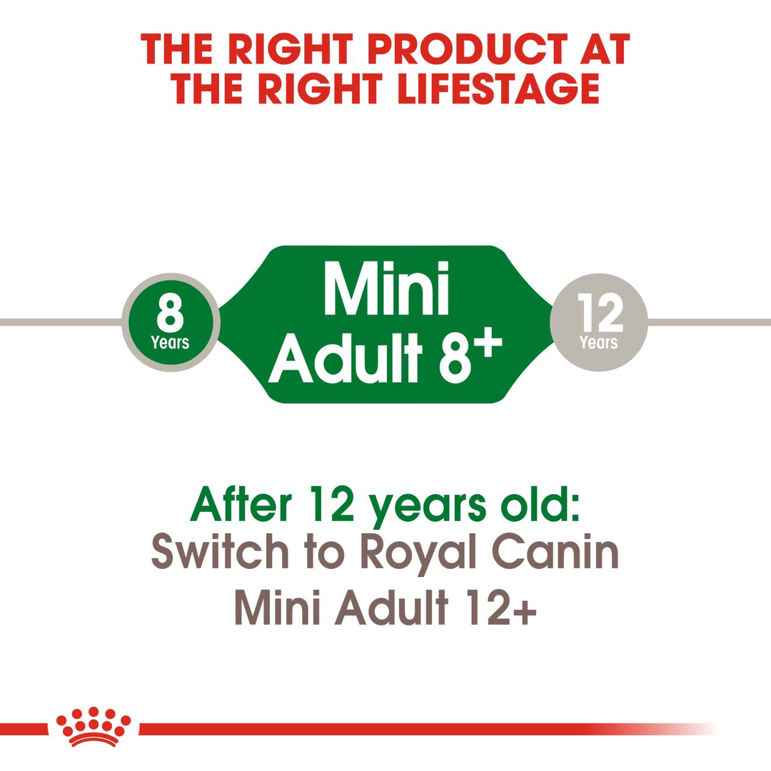Royal Canin Mini Adult 8+ from 8 to 12 years, then switch to Mini Adult 12+