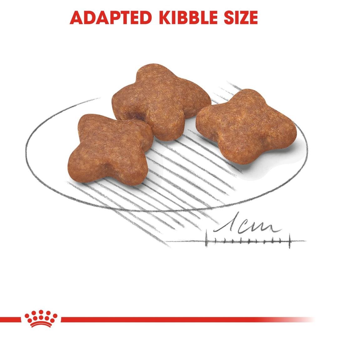 Royal Canin Mini Adult 8+ adapted kibble size for small dogs