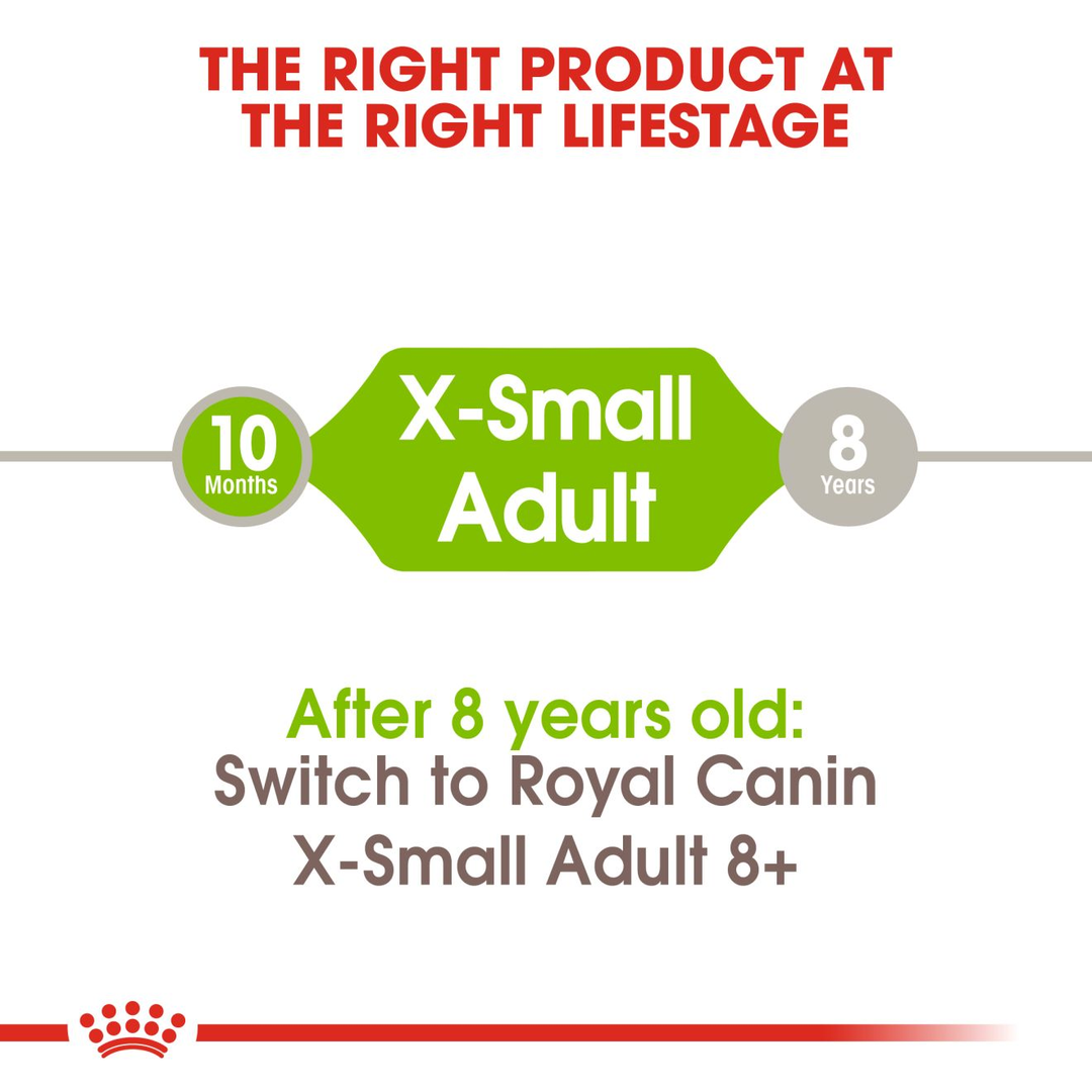 Royal Canin X-Small Adult from 10 months to 8 years, then switch to X-Small Adult 8+