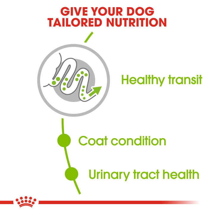 Royal Canin X-Small Adult benefits: healthy transit, coat condition, urinary tract health