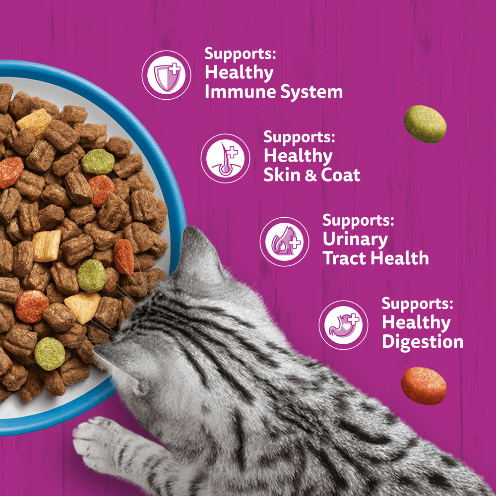 Whiskas dry cat food benefits: healthy immune system, skin and coat, urinary tract health and digestion
