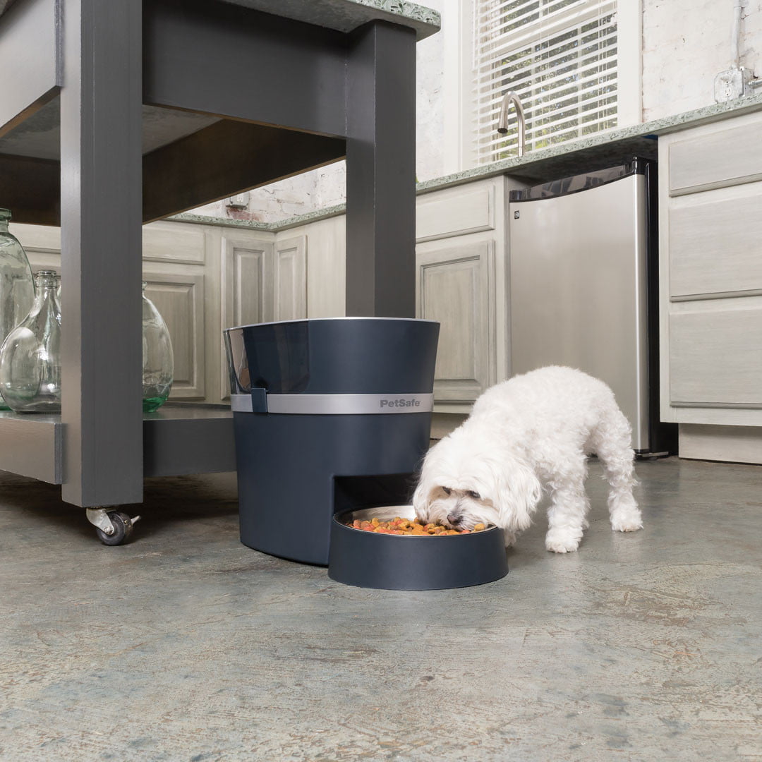 petsafe Automatic Dog and Cat Feeder