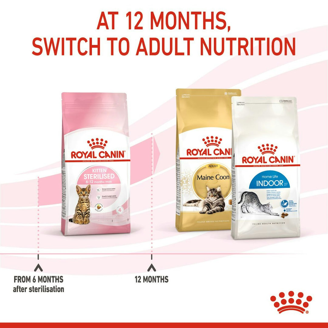 Royal Canin Kitten Sterilised from 6 months after sterilisation, switch to adult nutrition at 12 months